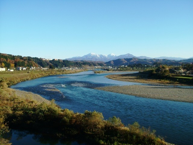 川口運動公園オートキャンプ場 photo 5