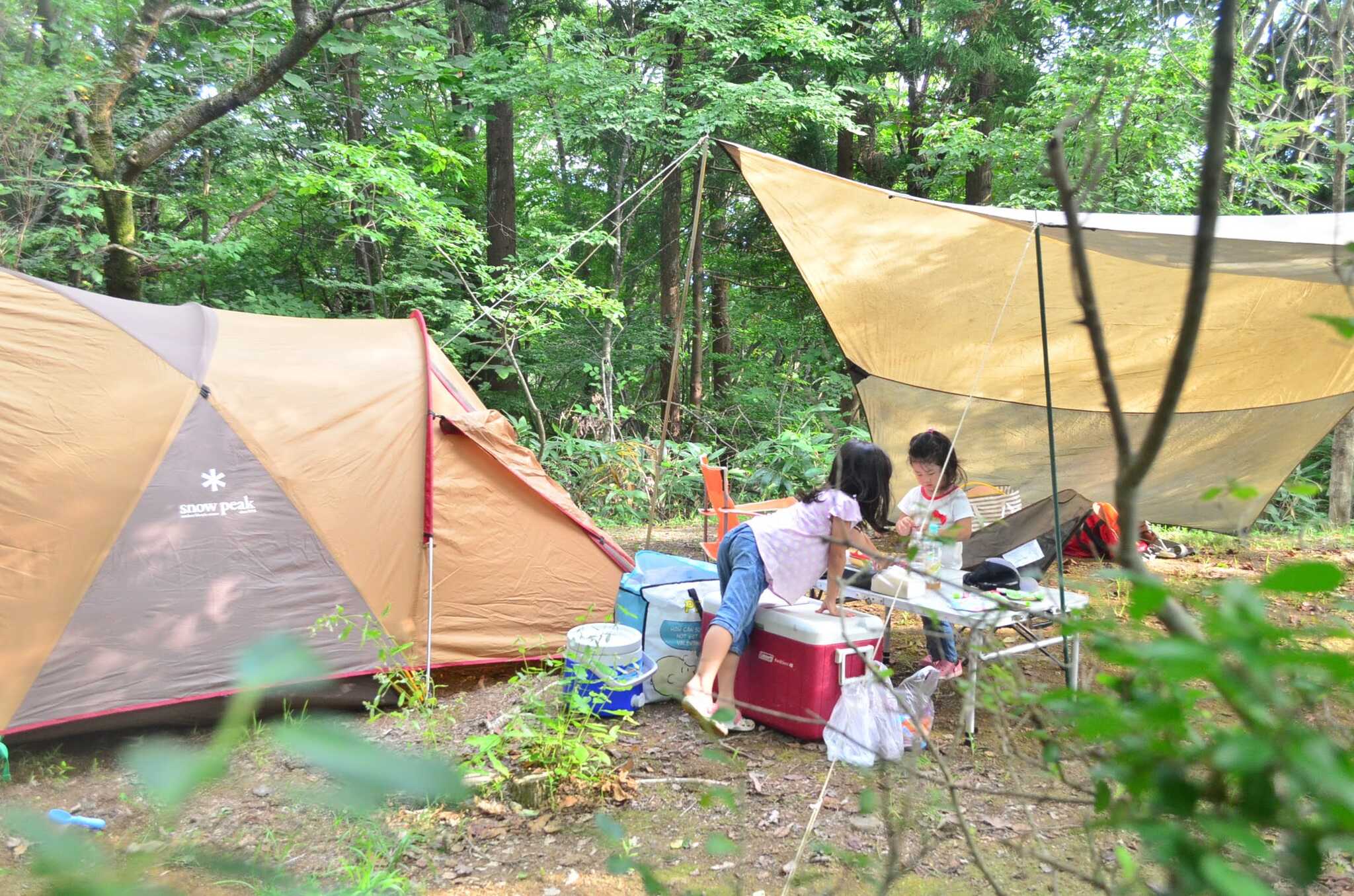 長岡市うまみち森林公園の写真 1枚目