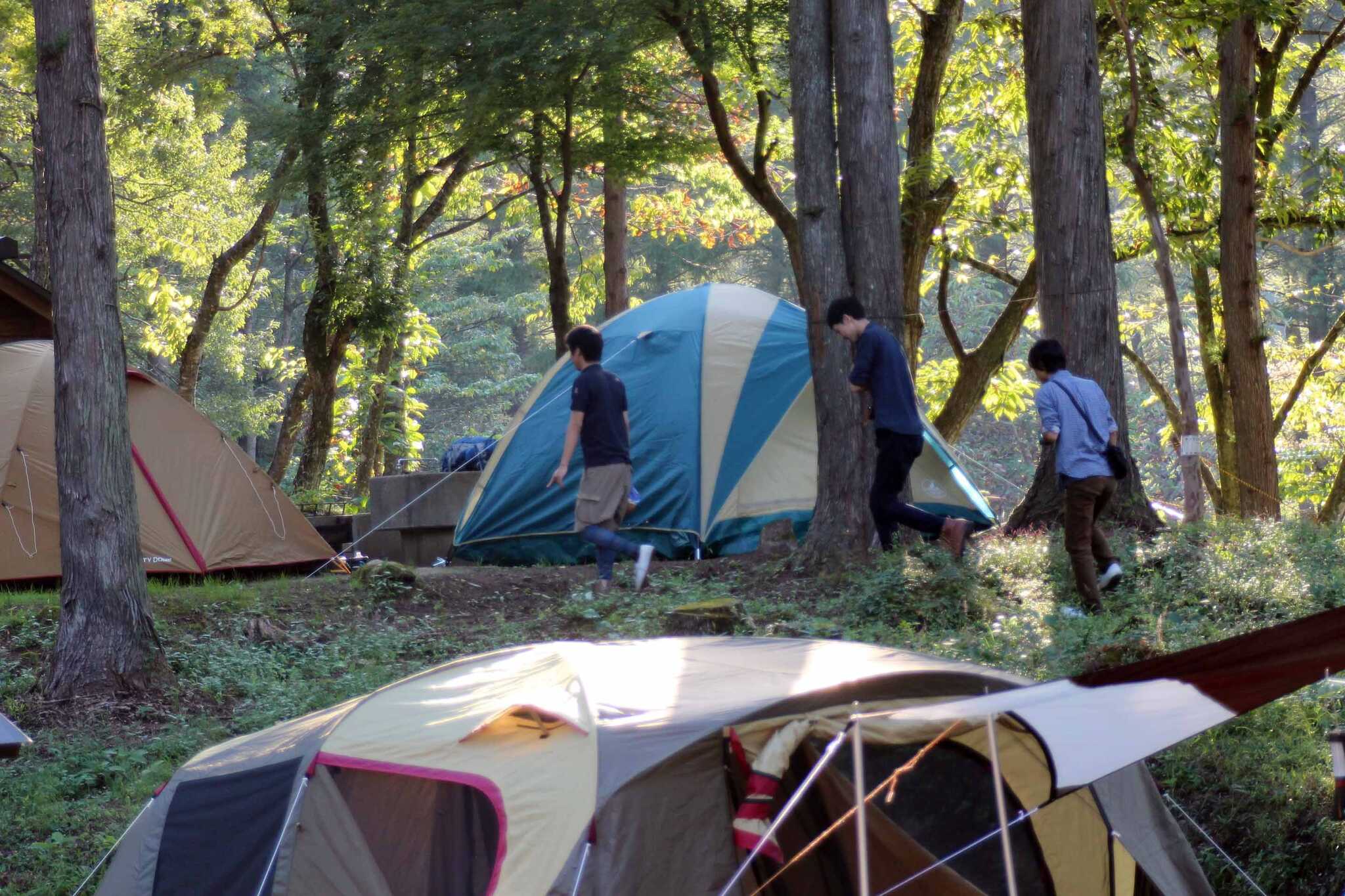 フィッシングパーク三川オートキャンプ場の写真 2枚目