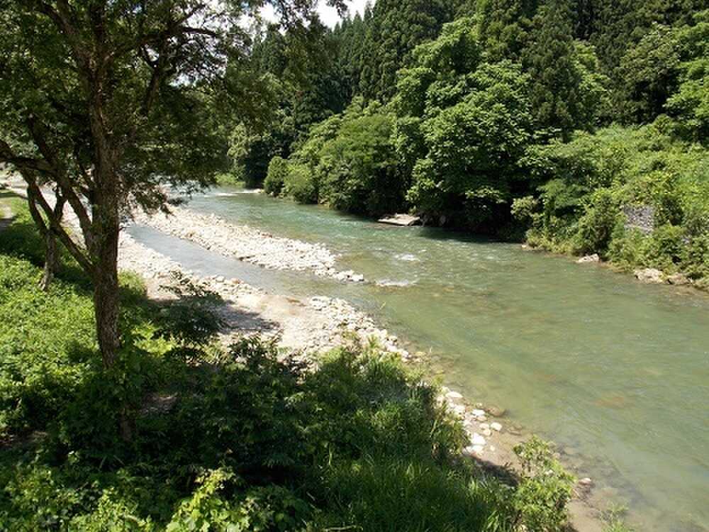 フィッシングパーク、橋の下流です。
