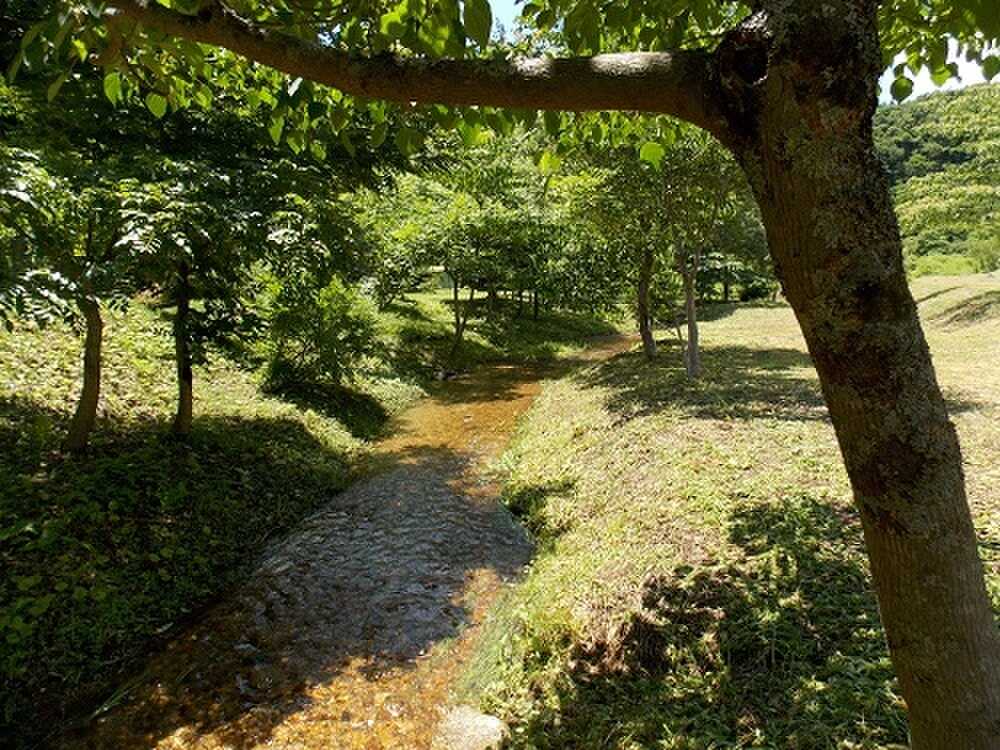 敷地内に小川が流れています。