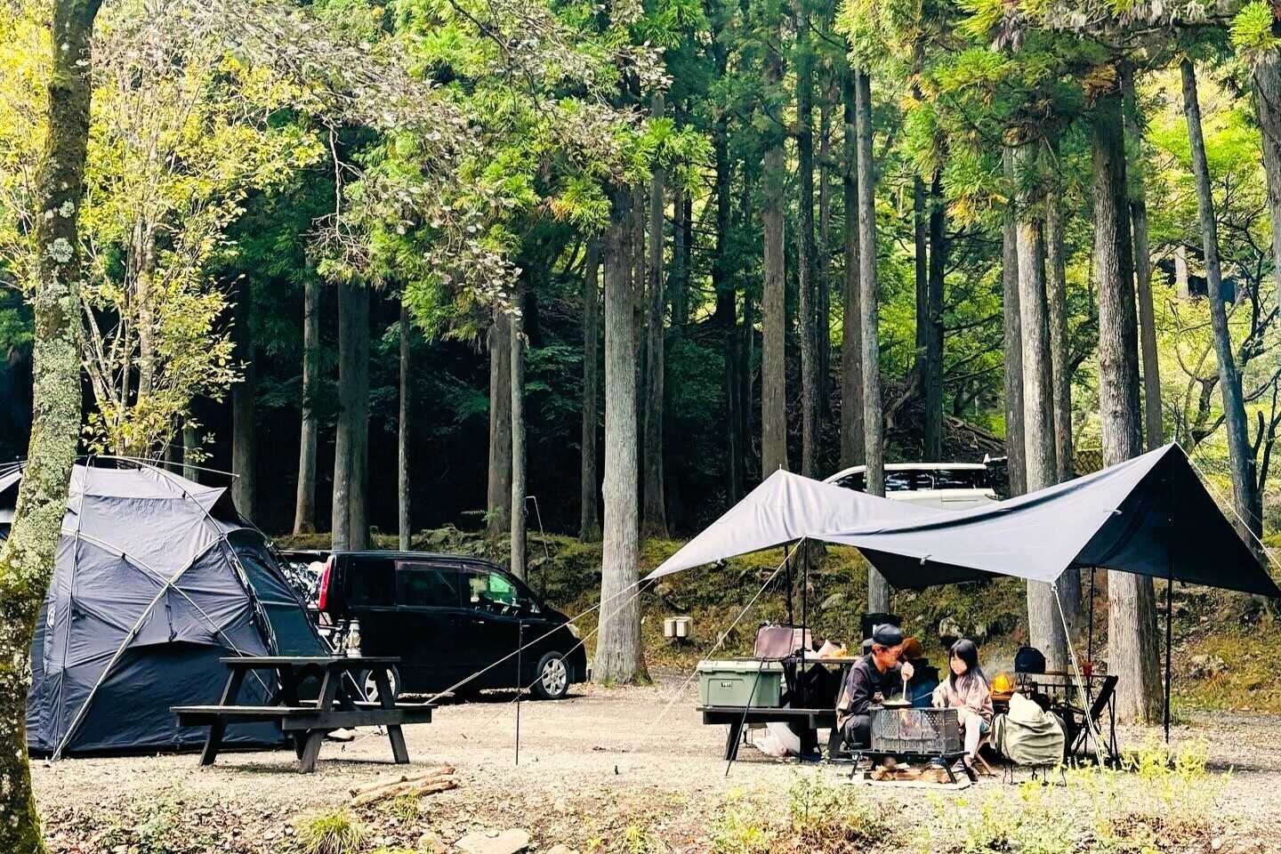 BOSCO Auto Camp Base