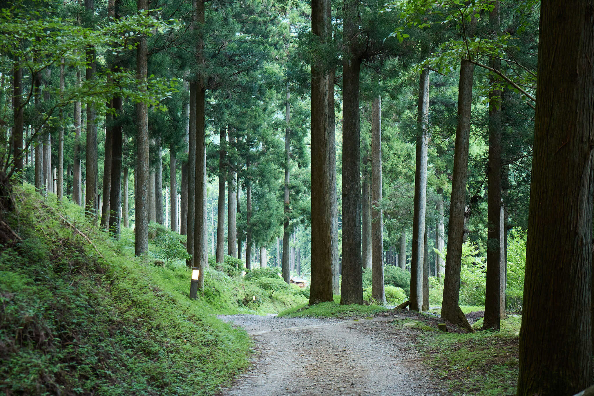 BOSCO Auto Camp Baseの写真 3枚目
