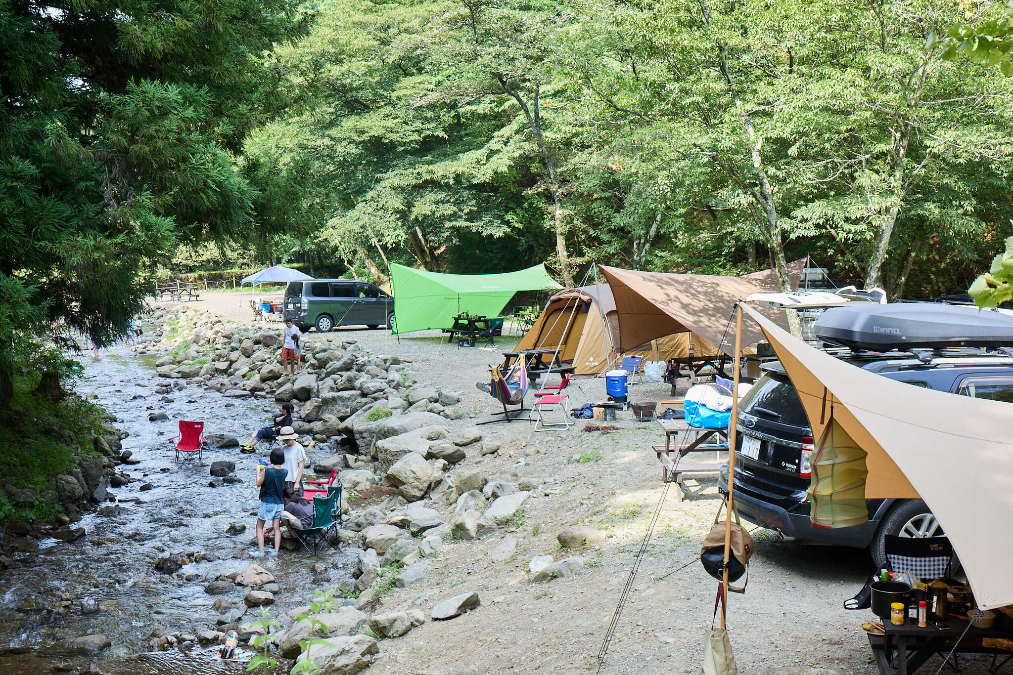 場内を流れる清流は、年間を通して約12℃前後。夏でも「冷たい」と声が出るほどです。