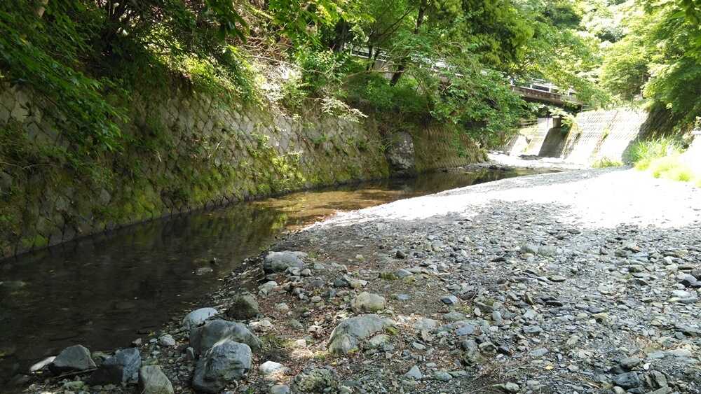 桐花園キャンプ場