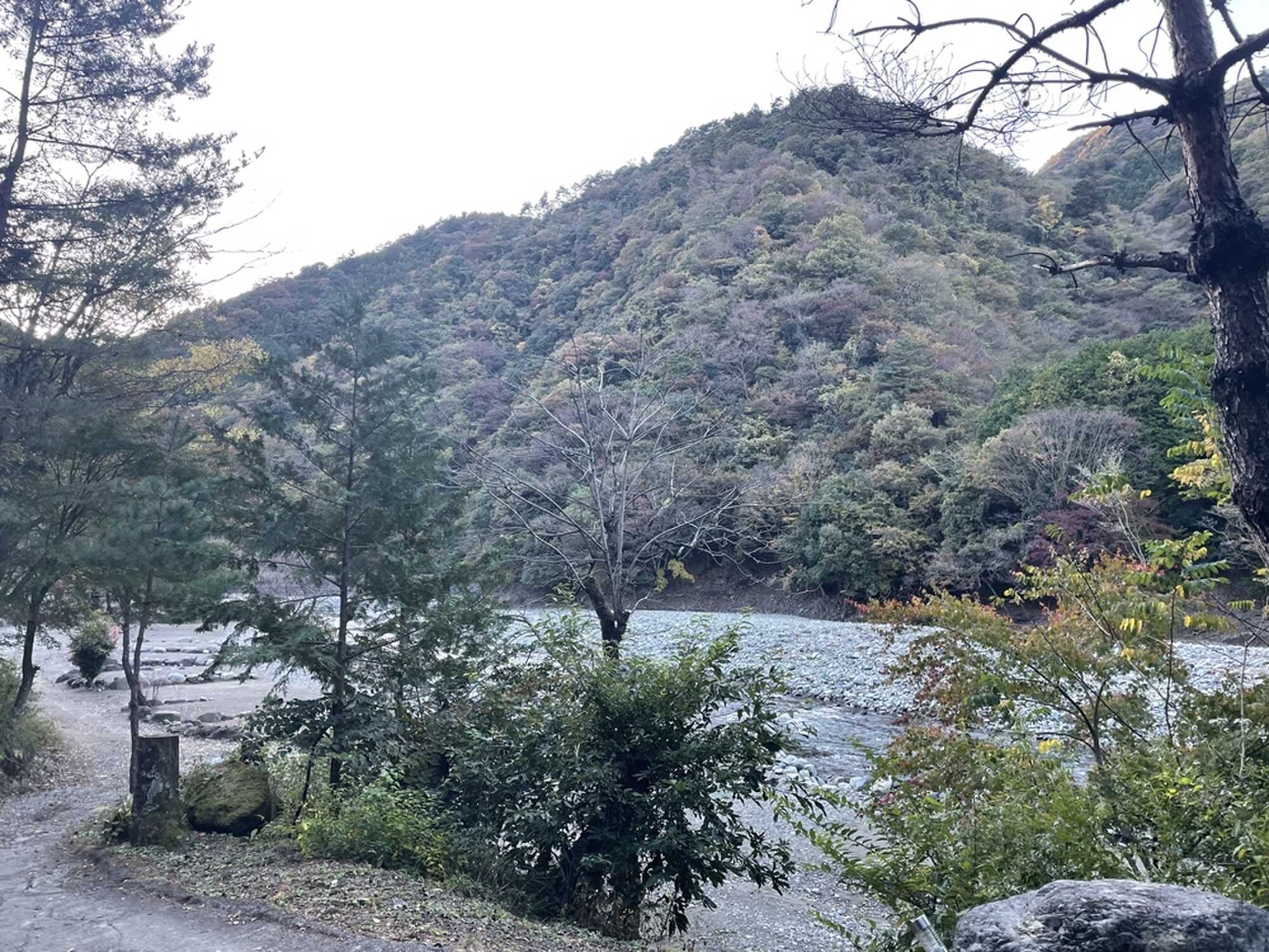 音久和キャンプ場の写真 3枚目