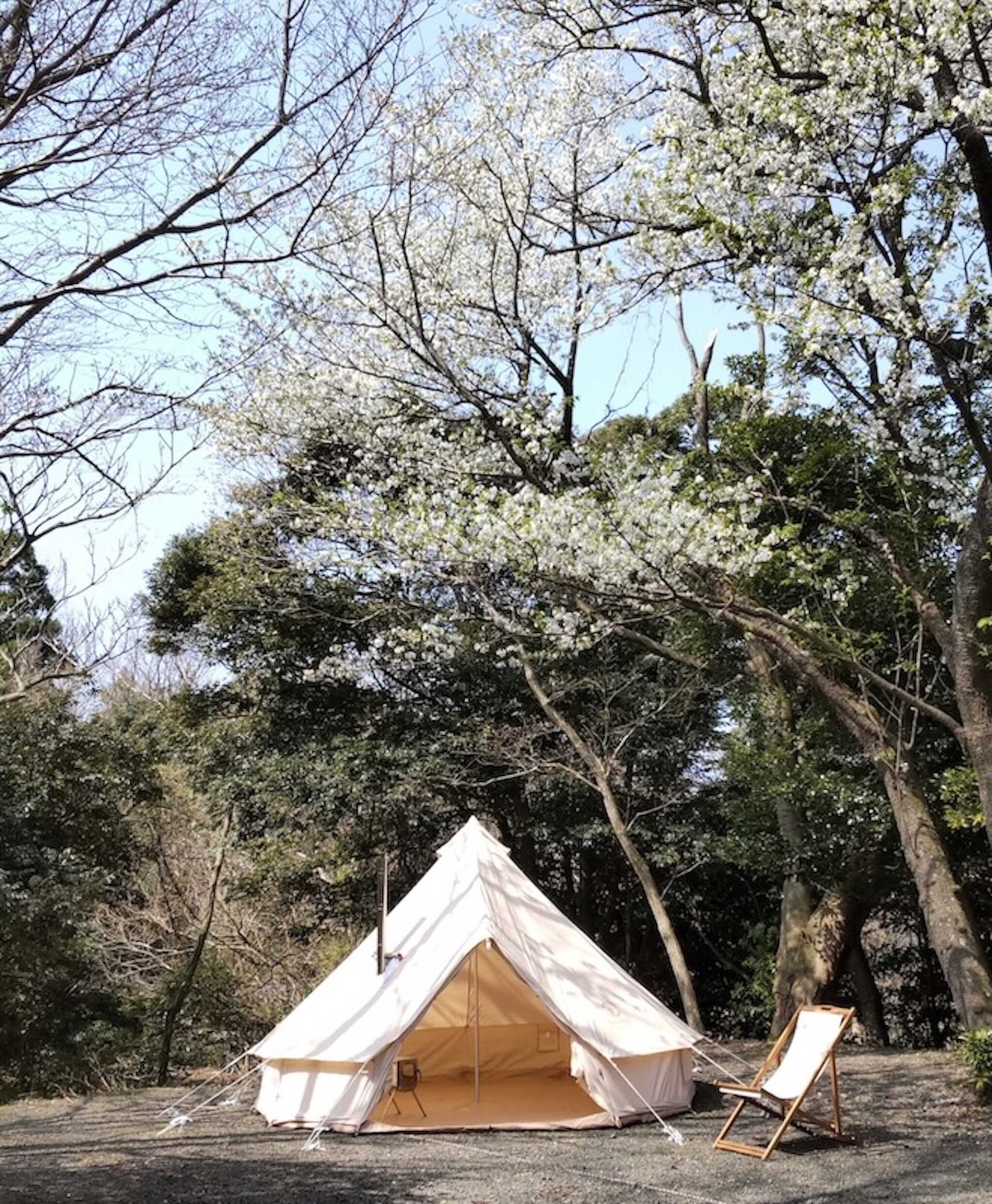 SUN no MORI 伊豆(旧:土肥オートキャンプ場)の写真 4枚目