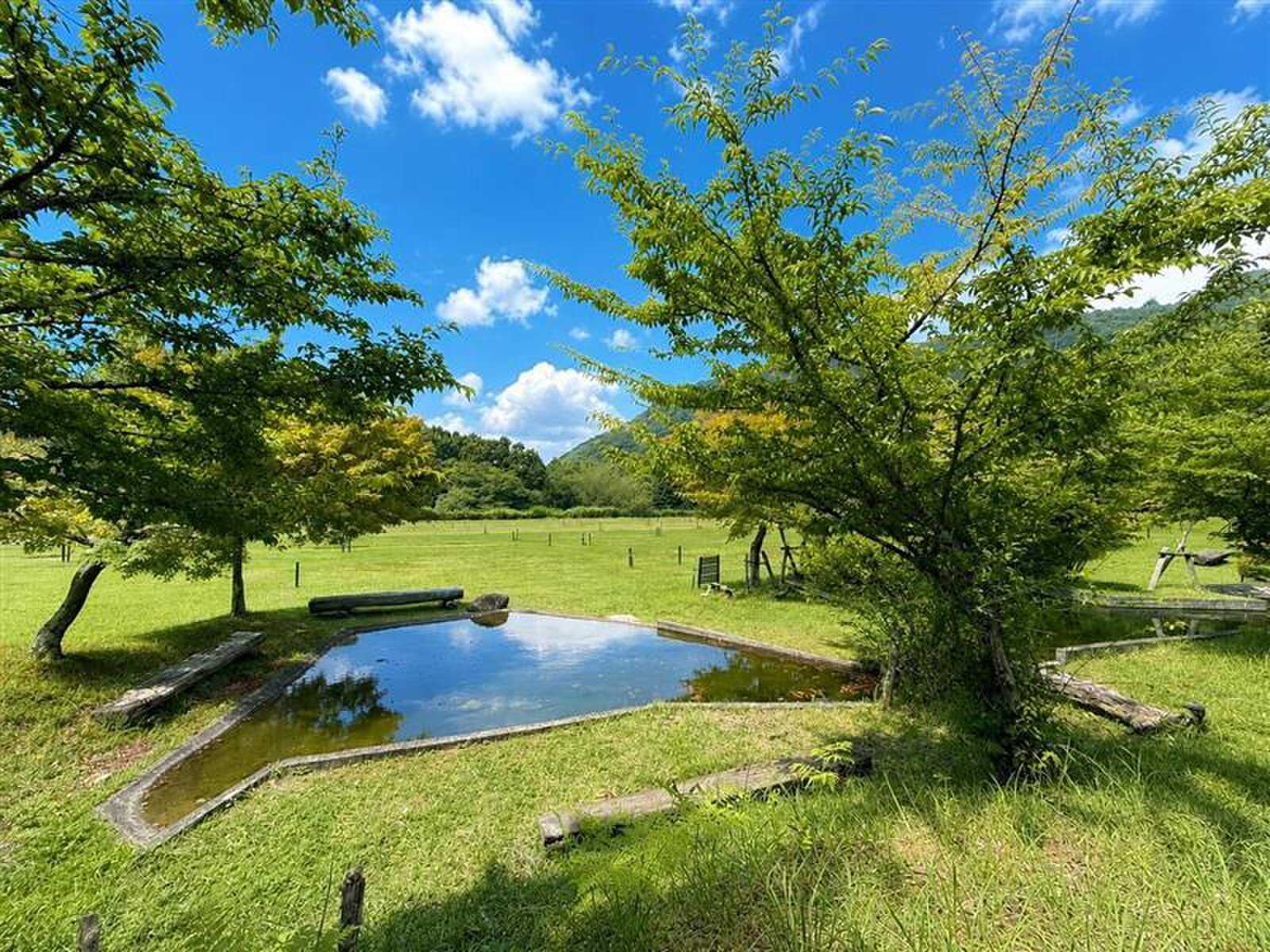 LScamp中伊豆(萬城の滝キャンプ場)