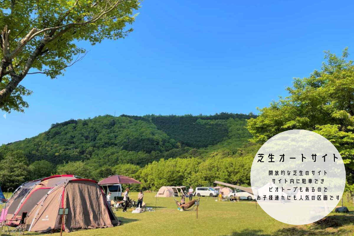 LScamp中伊豆(萬城の滝キャンプ場)の写真 3枚目