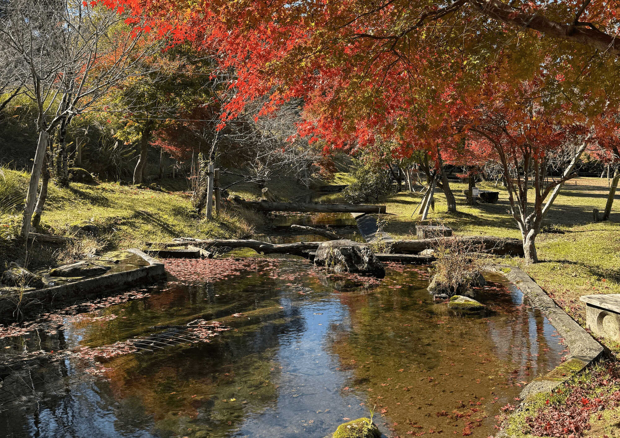 LScamp中伊豆(萬城の滝キャンプ場)