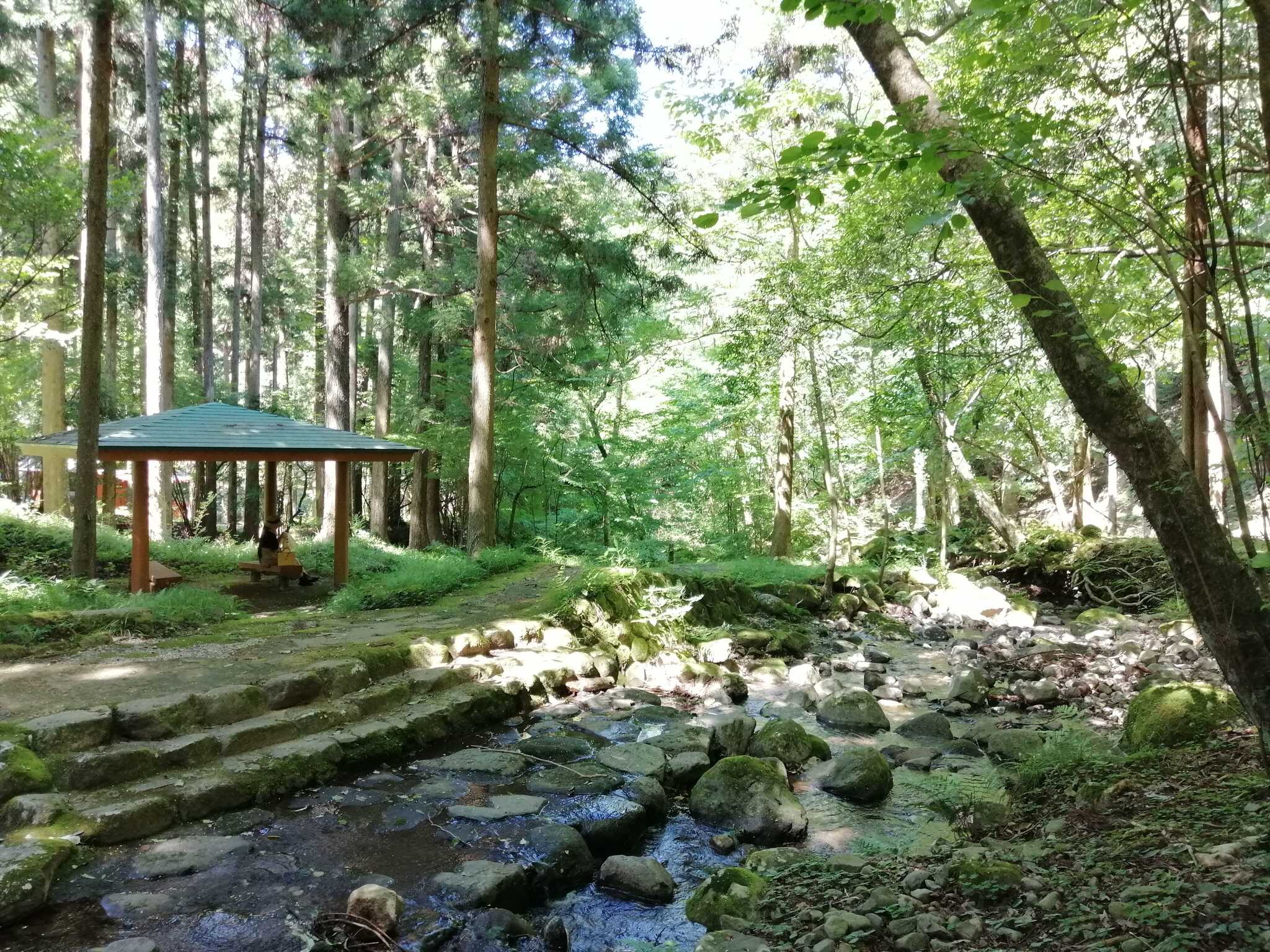 場内にも川が流れているので、小さなお子様でも川遊びが可能です。