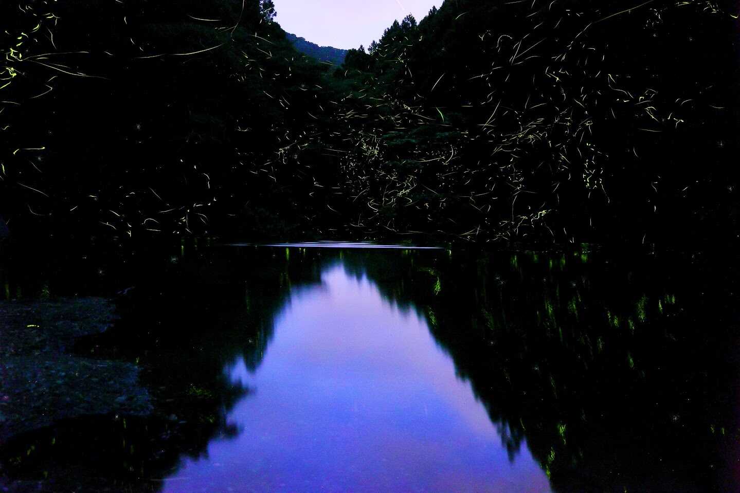 河津七滝オートキャンプ場の写真 1枚目
