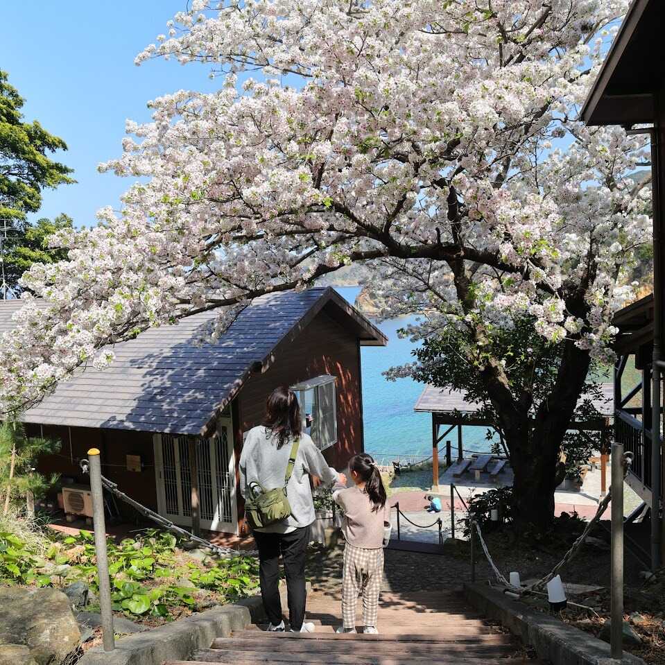 キャンプ黄金崎の写真 1枚目