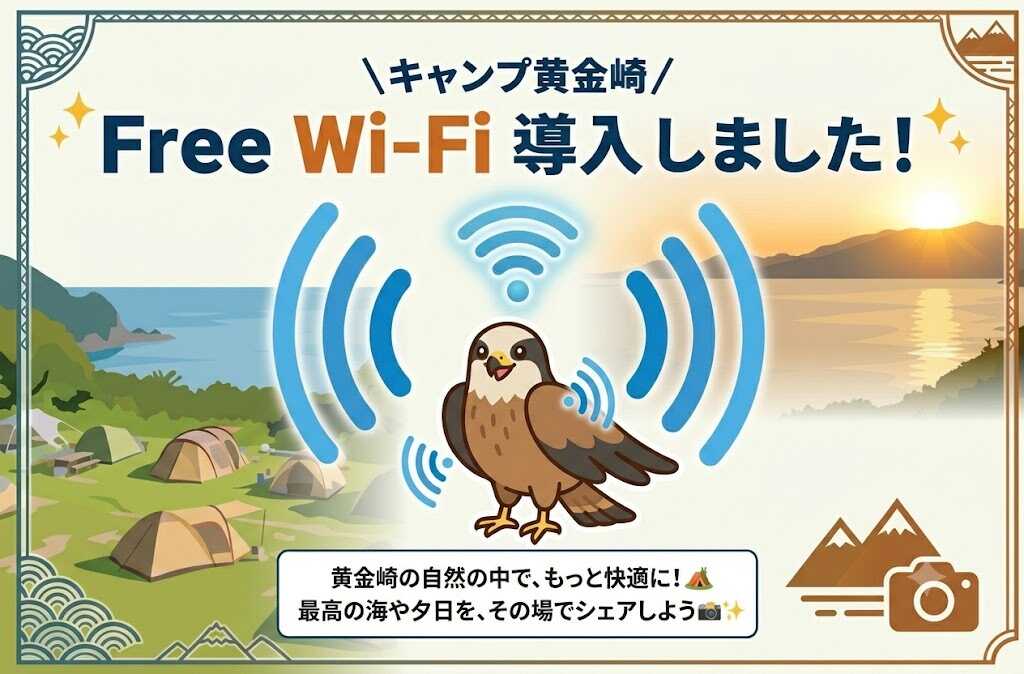 ✨✨ Wi-Fi導入しました!✨✨