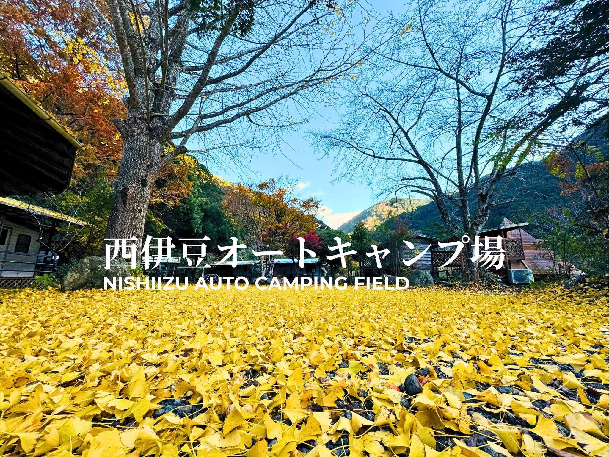 西伊豆オートキャンプ場
