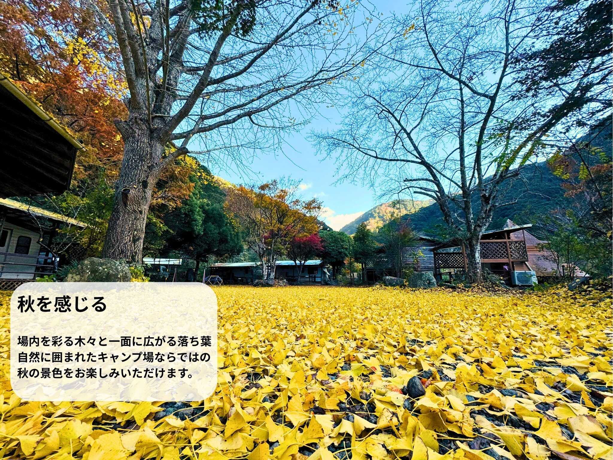 西伊豆オートキャンプ場の写真 1枚目