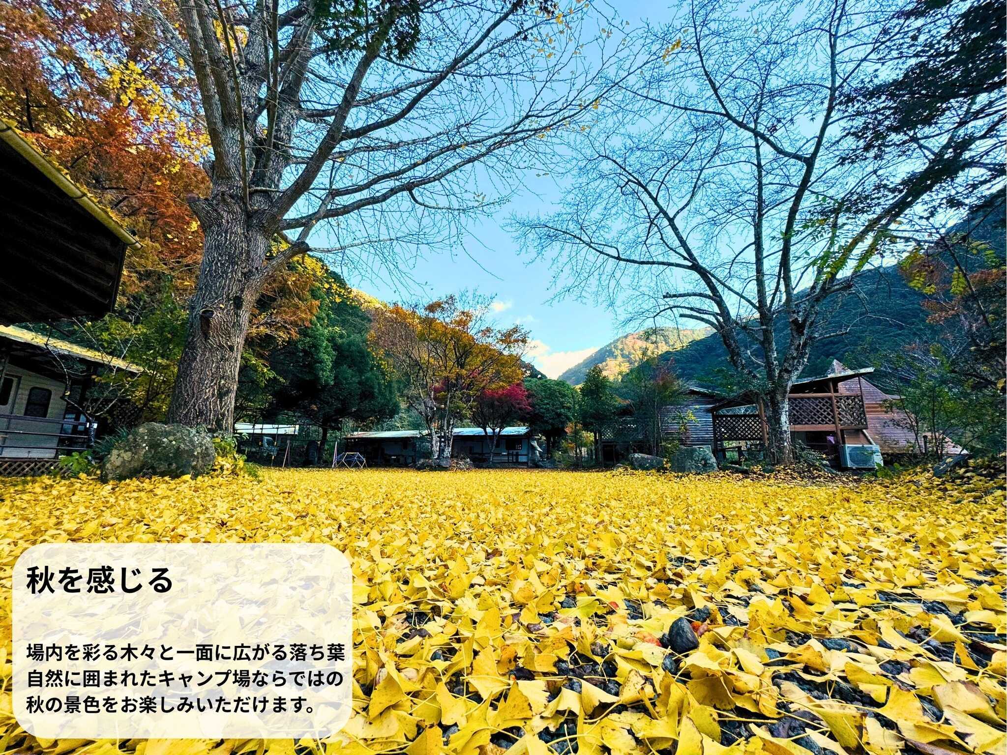 西伊豆オートキャンプ場