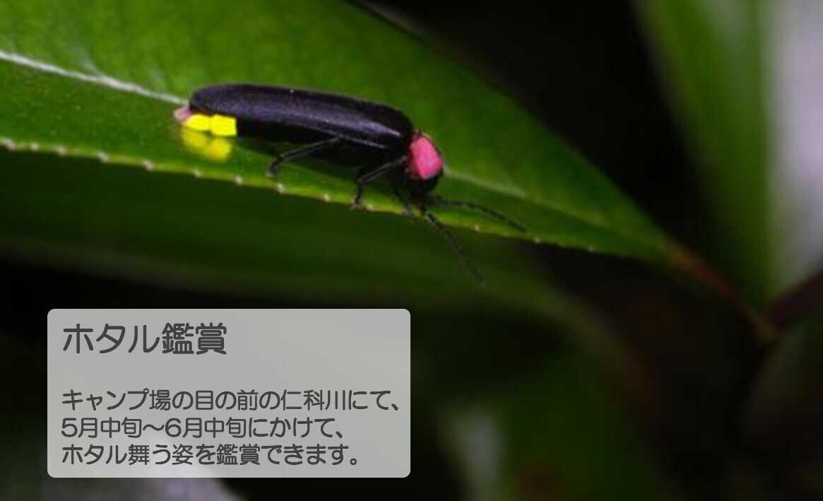 西伊豆オートキャンプ場