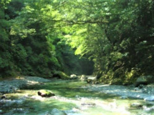 ネイチャービレッジおおたき　かざはなの谷キャンプ場 photo 2