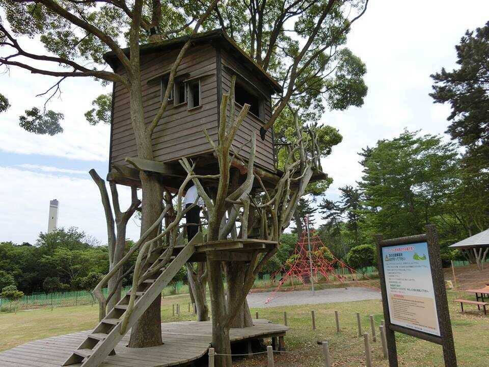 【R2/10現在 閉鎖】ワンダーフォレスト TERRA (テラ)の写真 5枚目