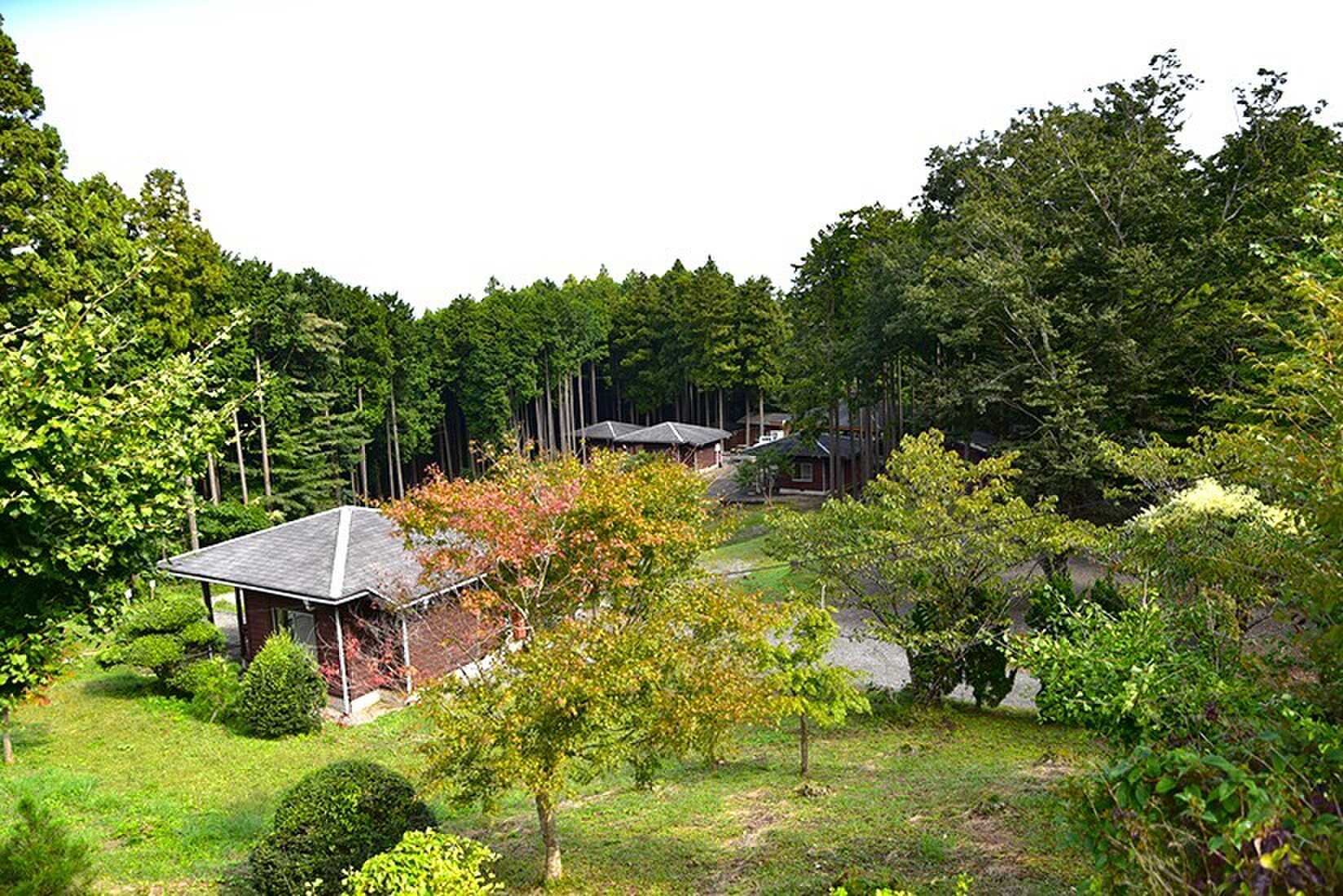 木々に囲まれたキャンプ場です