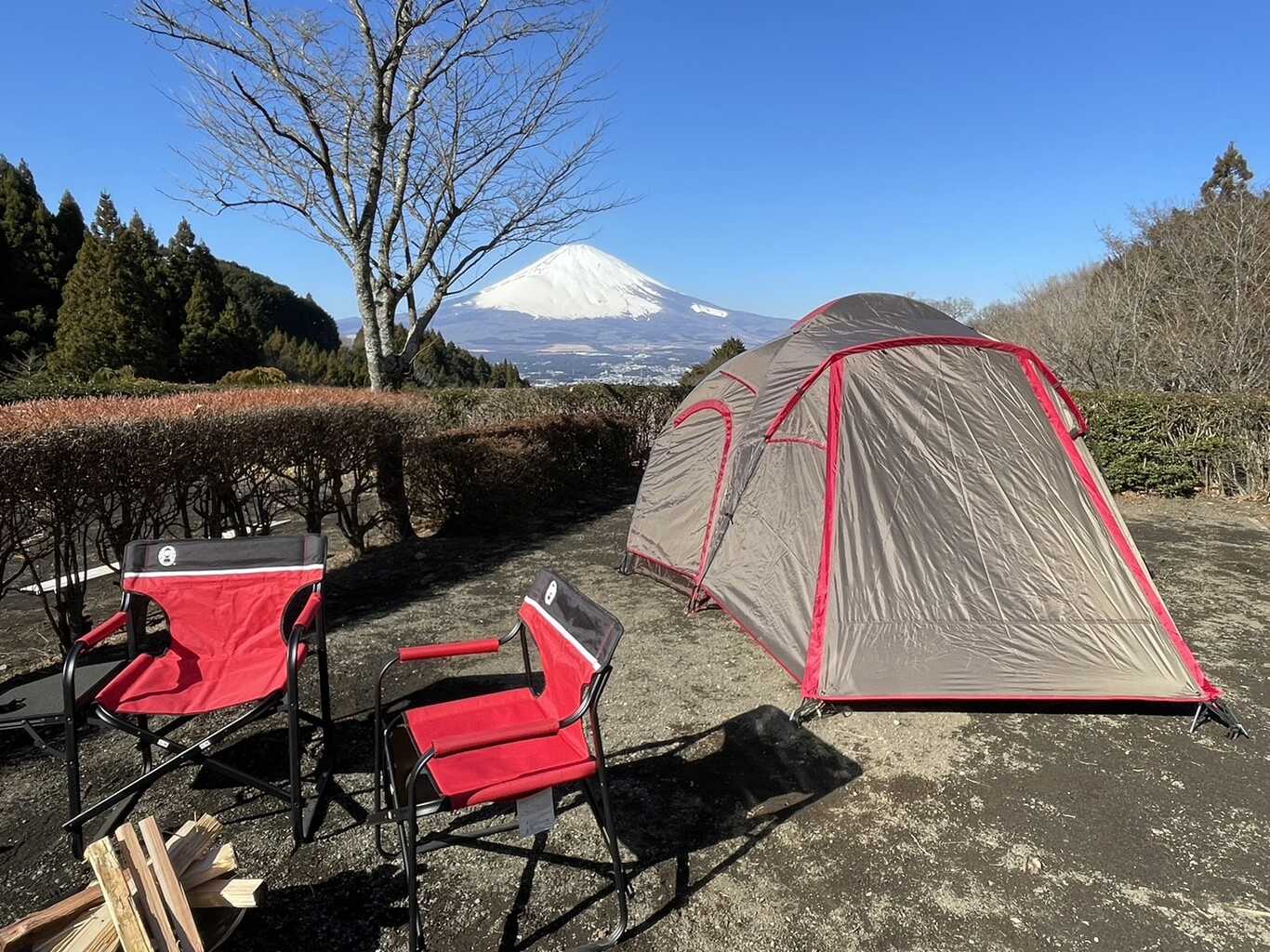 乙女森林公園第２キャンプ場 photo 3