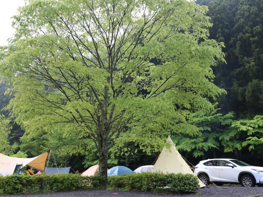 三ツ星オートキャンプ場
