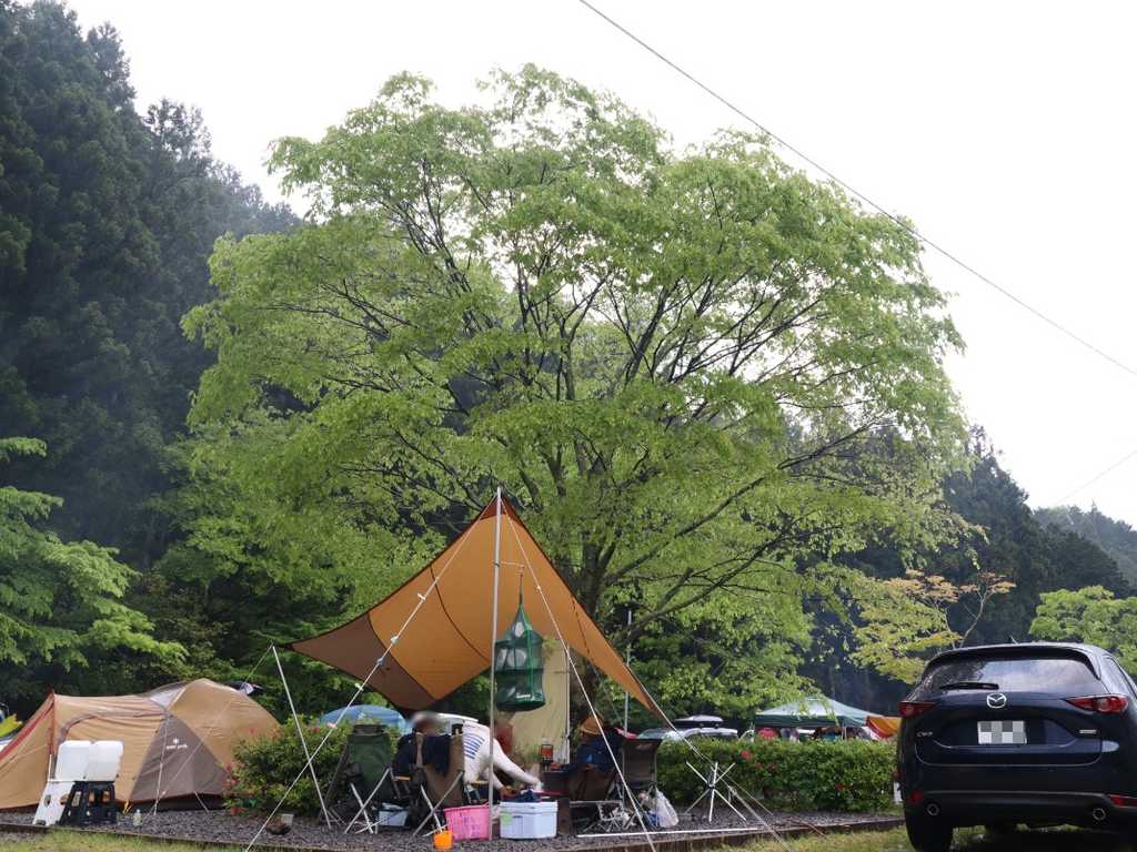 三ツ星オートキャンプ場 photo 2