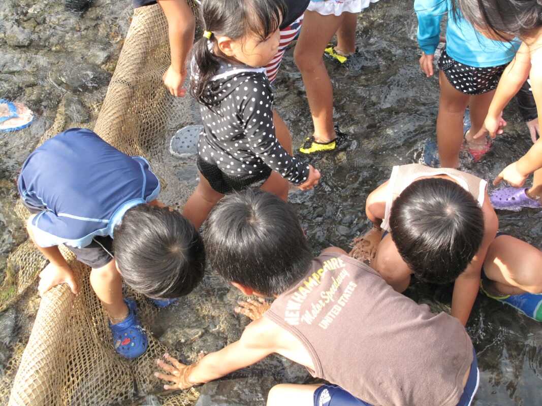お子さまに人気の魚のつかみどり!