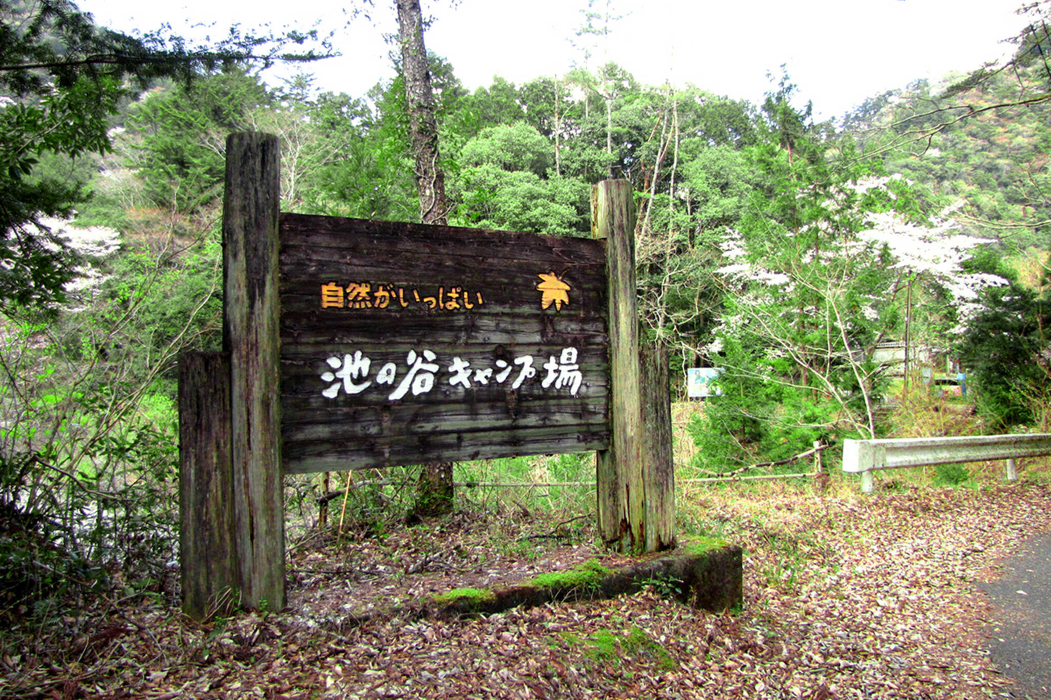 池の谷ファミリーキャンプ場の写真 1枚目