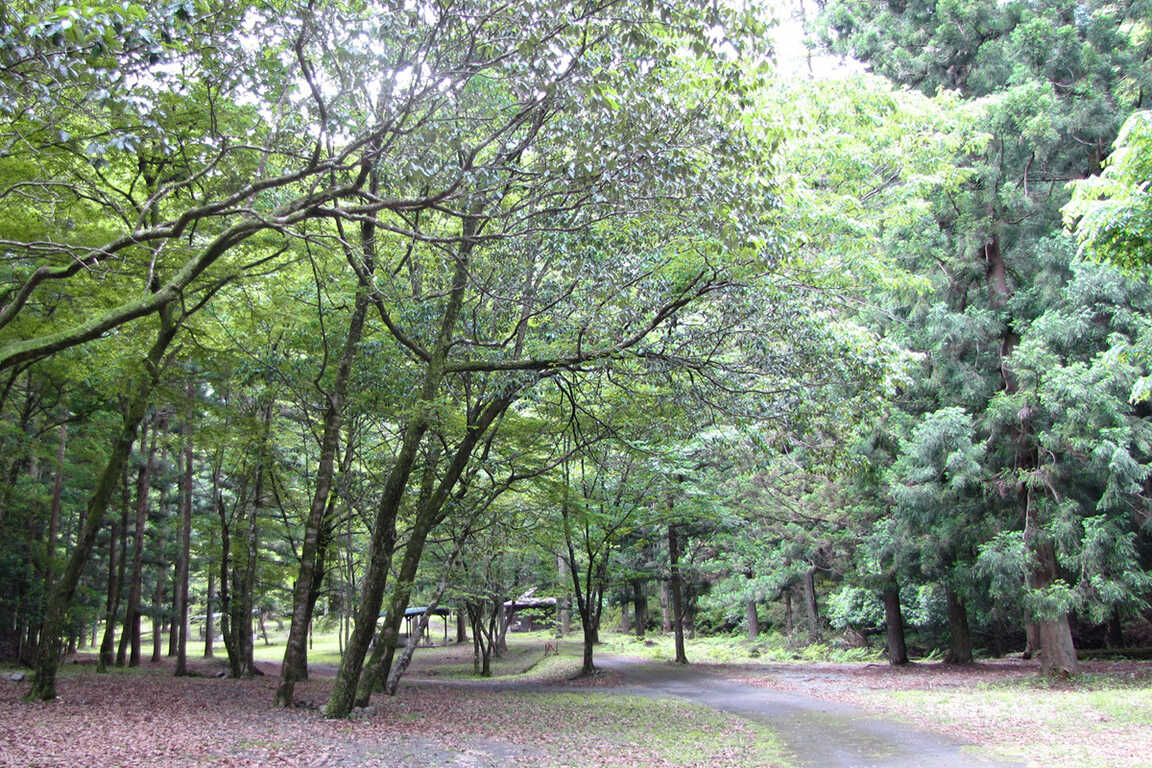 池の谷ファミリーキャンプ場 photo 3