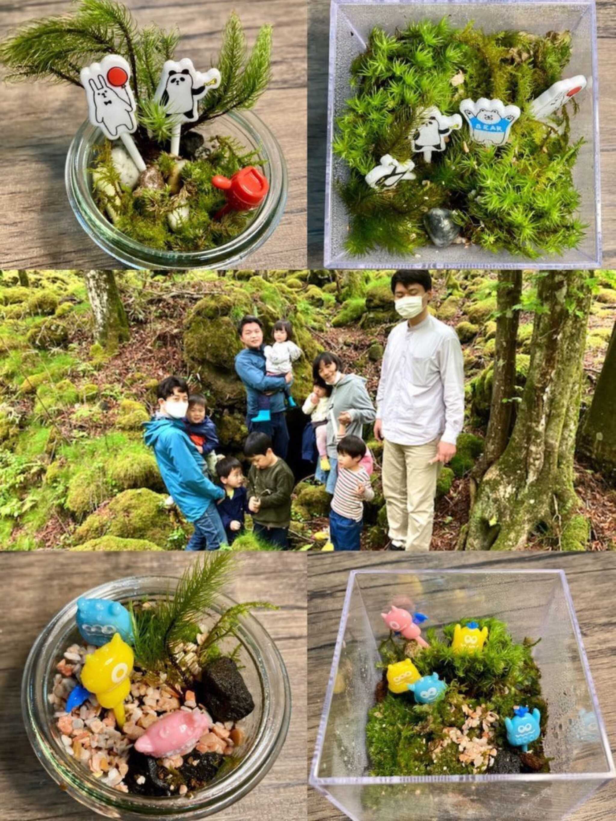 苔テラリウム、溶岩樹形洞窟体験、寄生火山ハイキングなど多彩なアクティビティをご用意しております。詳しくはHPをご覧下さい。