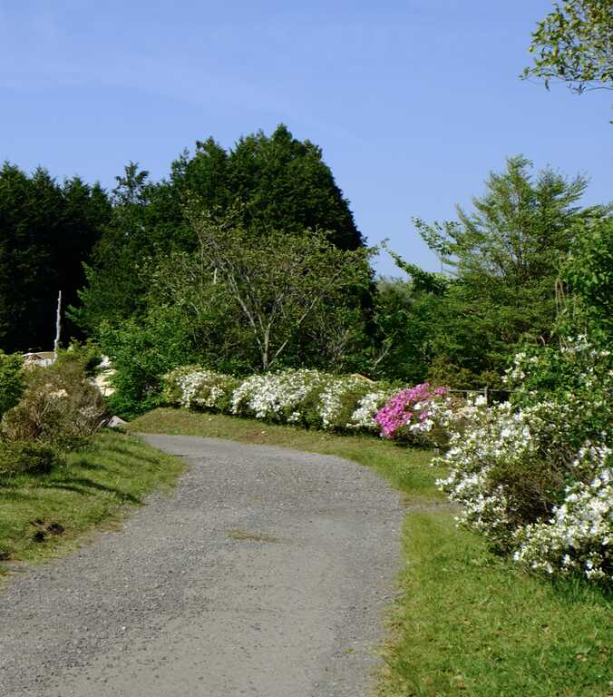 大野路ファミリーキャンプ場 photo 5