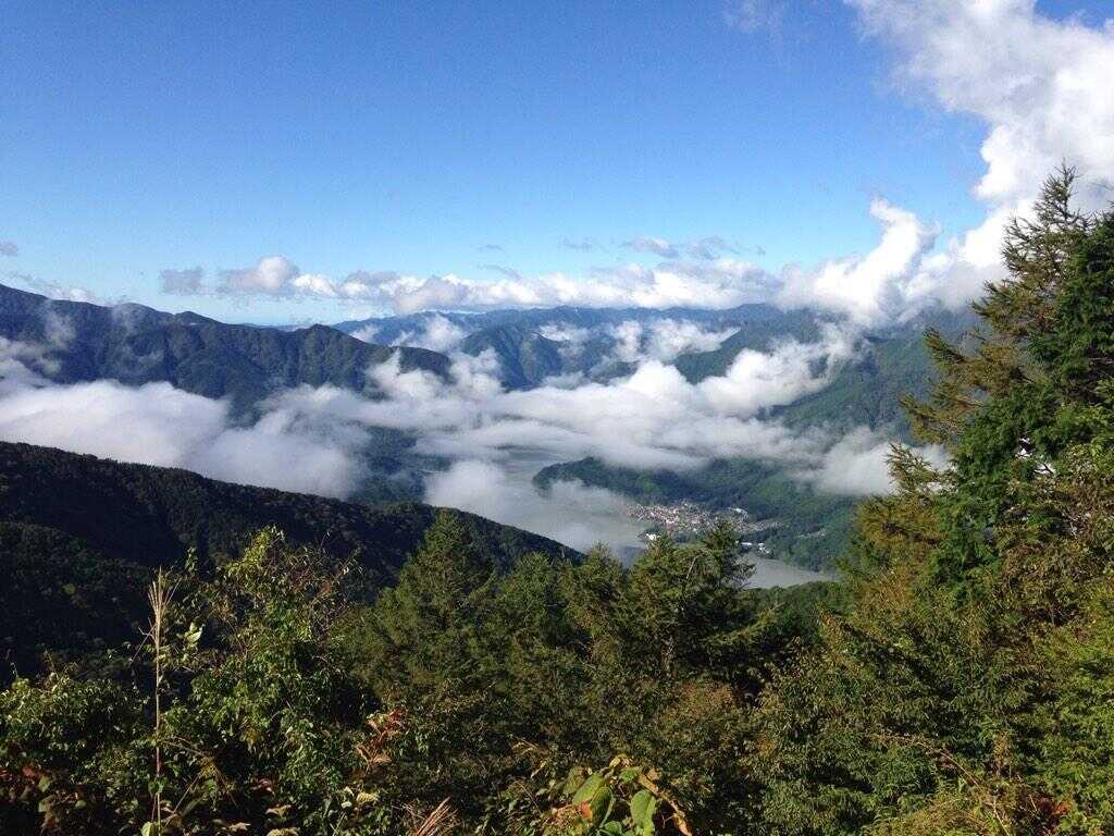 静岡県県民の森キャンプ場