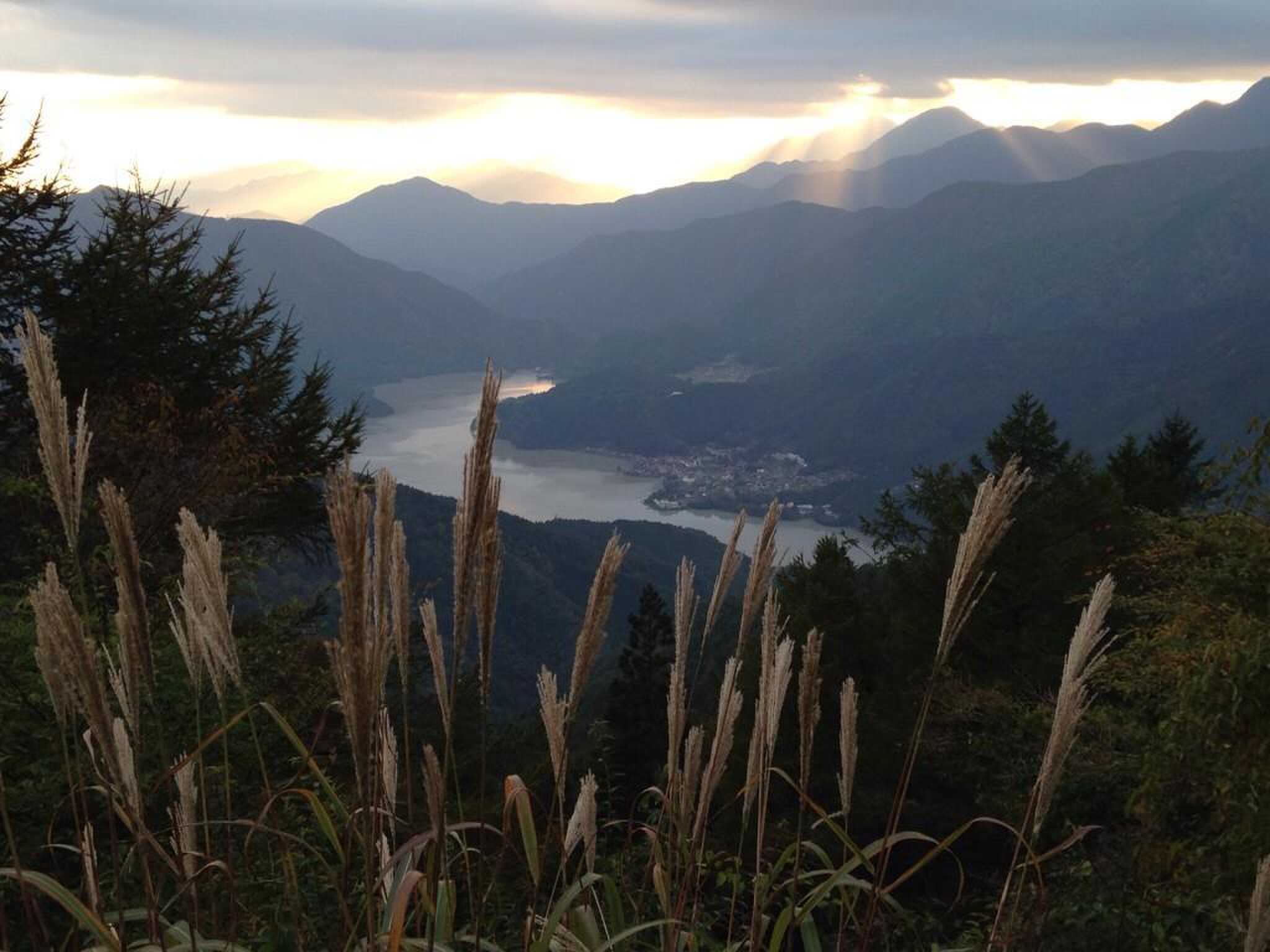 静岡県県民の森キャンプ場