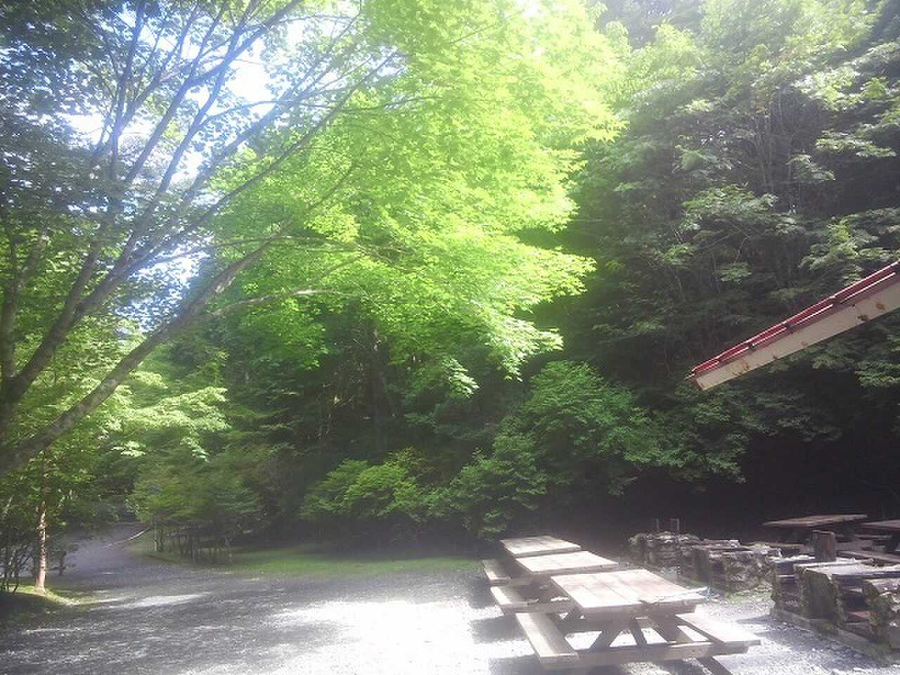 静岡県県民の森キャンプ場
