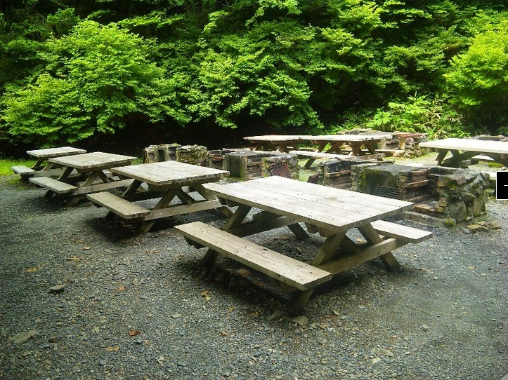 静岡県県民の森 photo 2