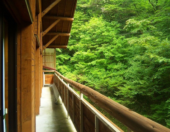 静岡県県民の森 photo 4