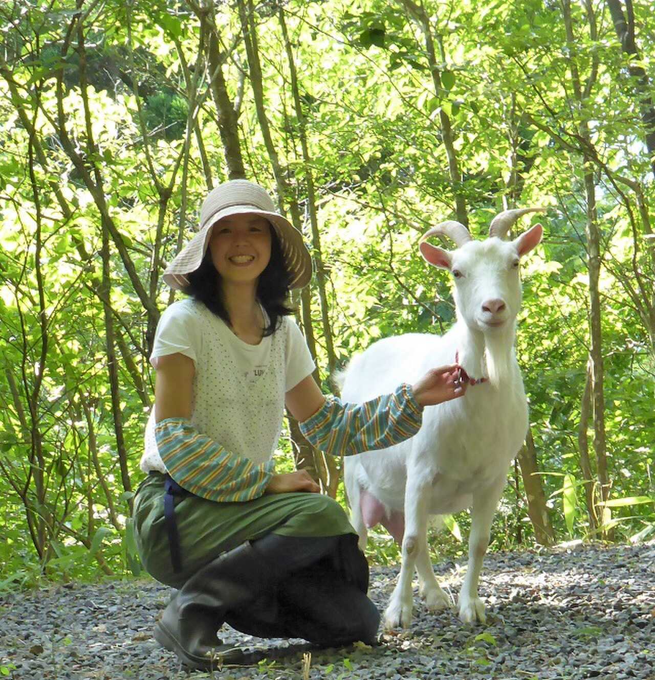 管理人:高野瀬 恵子