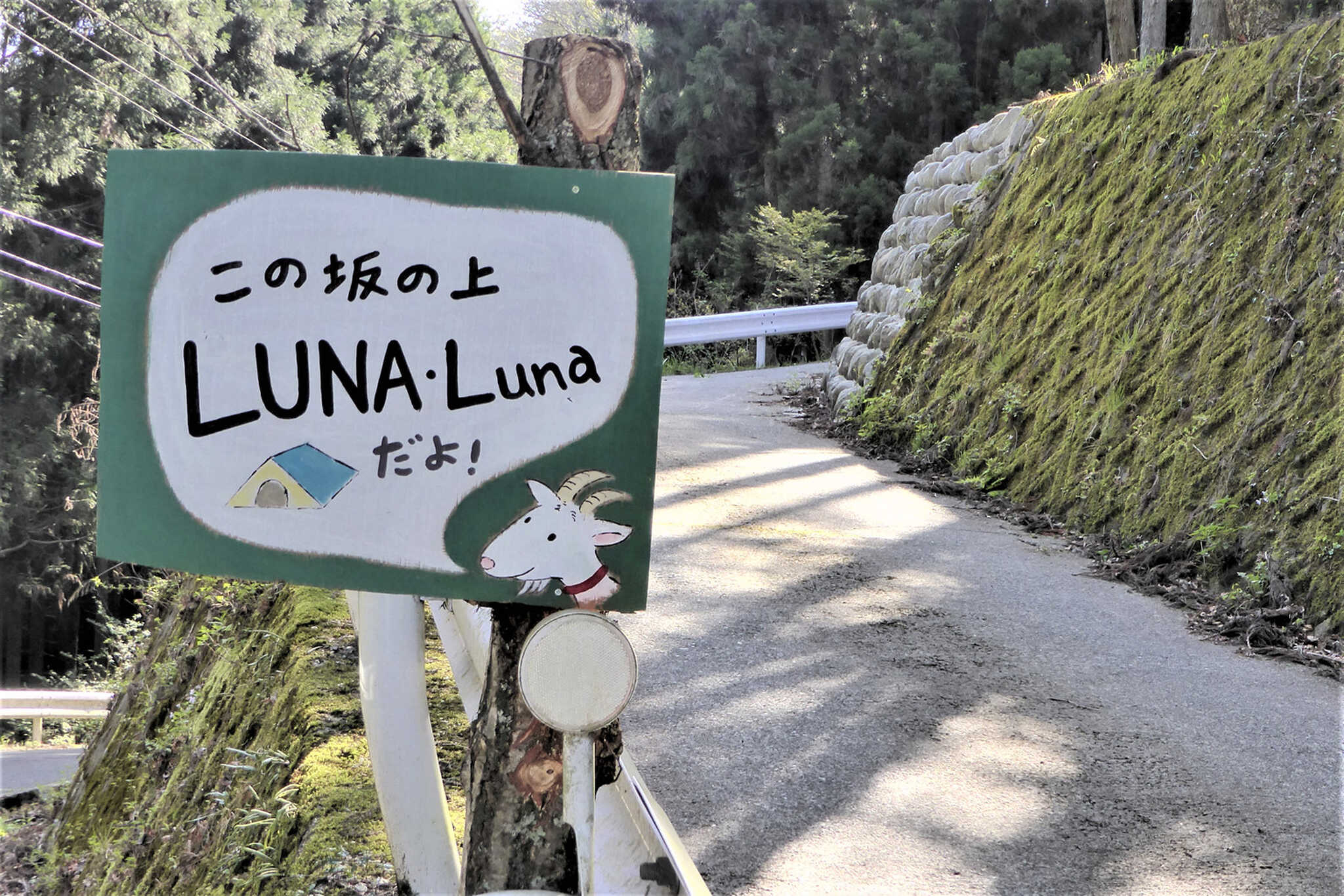入り口の坂にはこの看板が目印!
