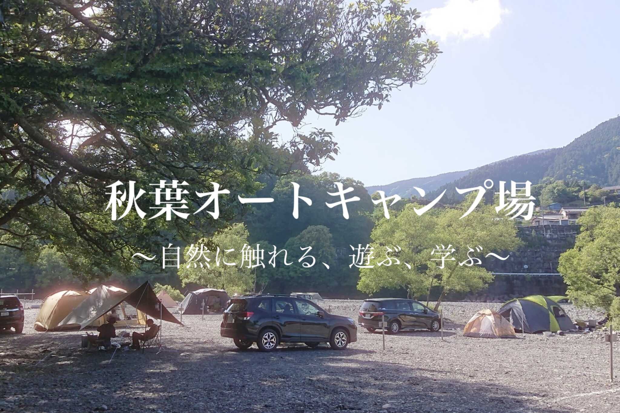 オーナー