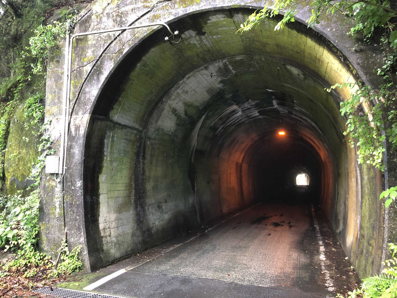 小川の里オートキャンプ場 photo 3