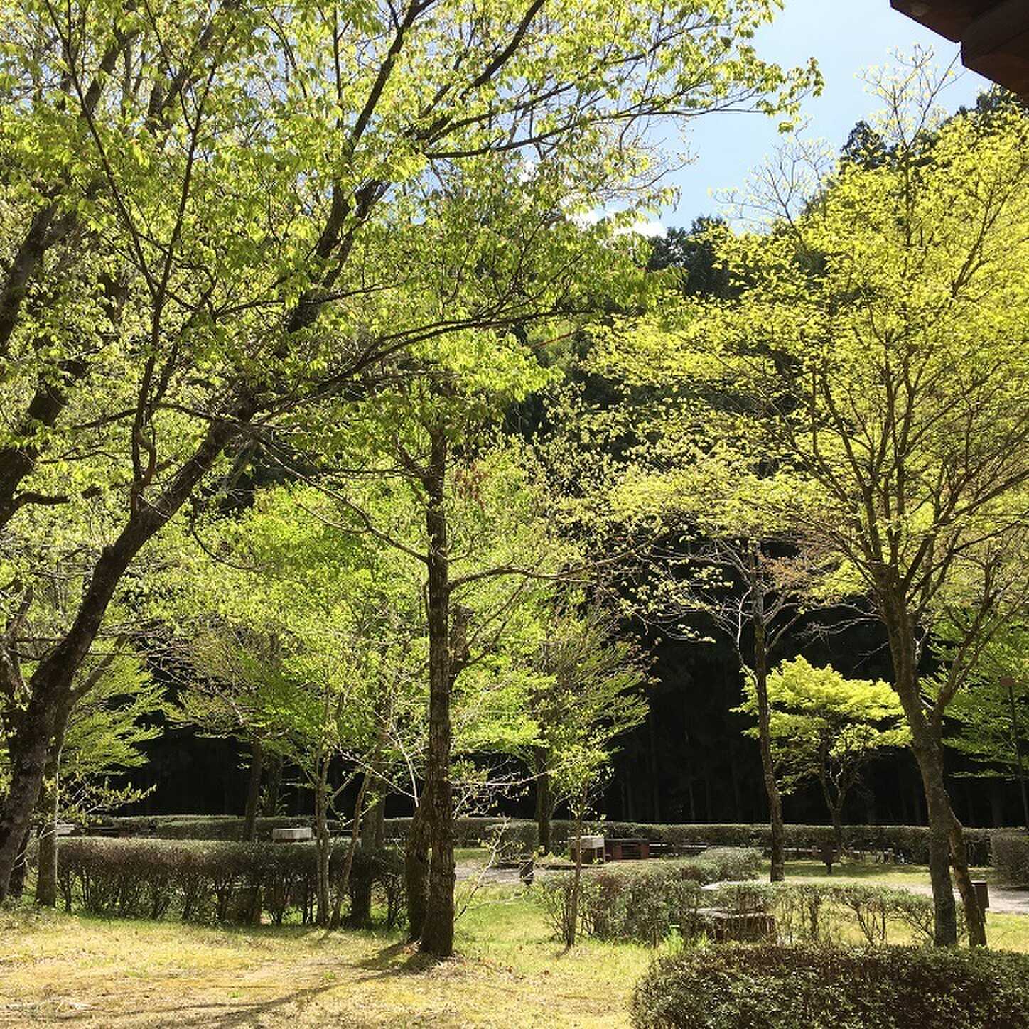 星降るみさくぼキャンプ場よつばの杜の写真 1枚目