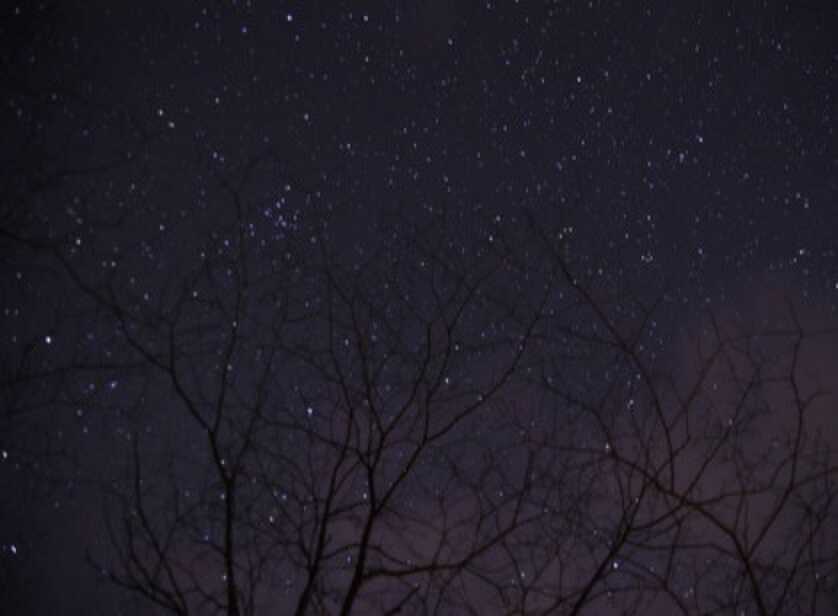 星降るみさくぼキャンプ場よつばの杜の写真 5枚目