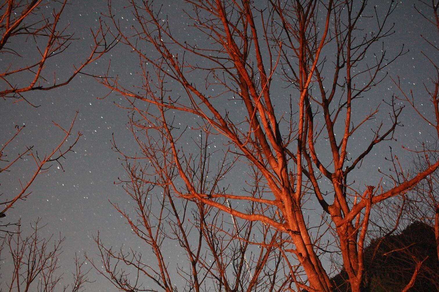 星空観察できます♪