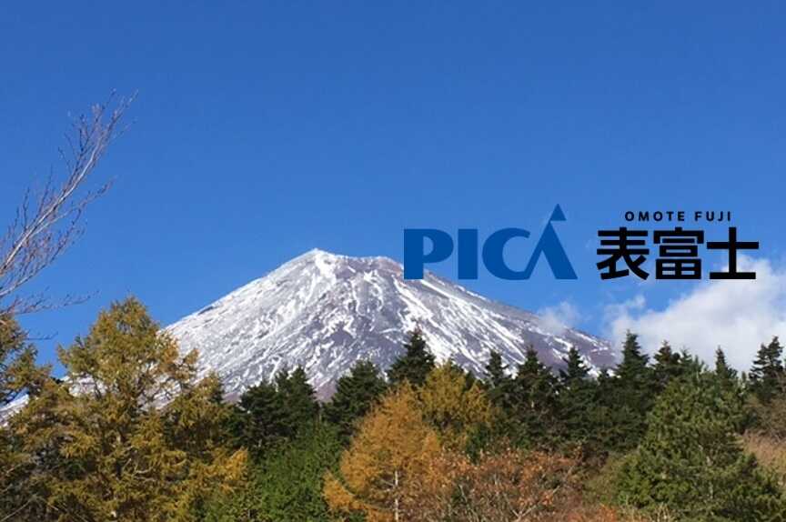 PICA表富士