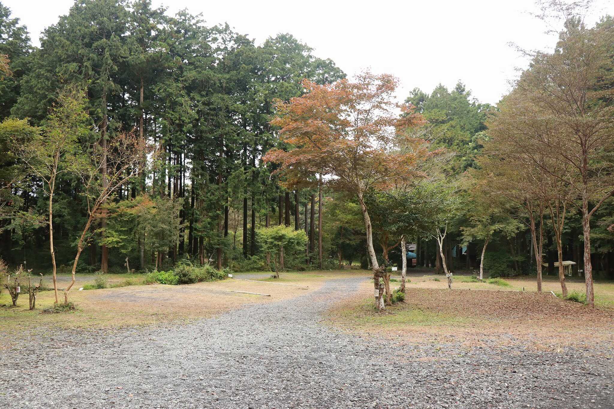 朝霧高原オートキャンプ場の写真 1枚目