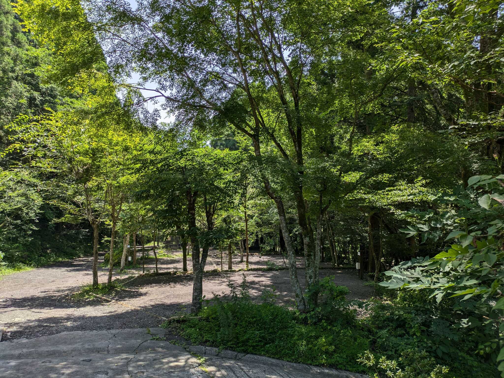FUJIYAMA泉の森CAMPING FIELDの写真 3枚目