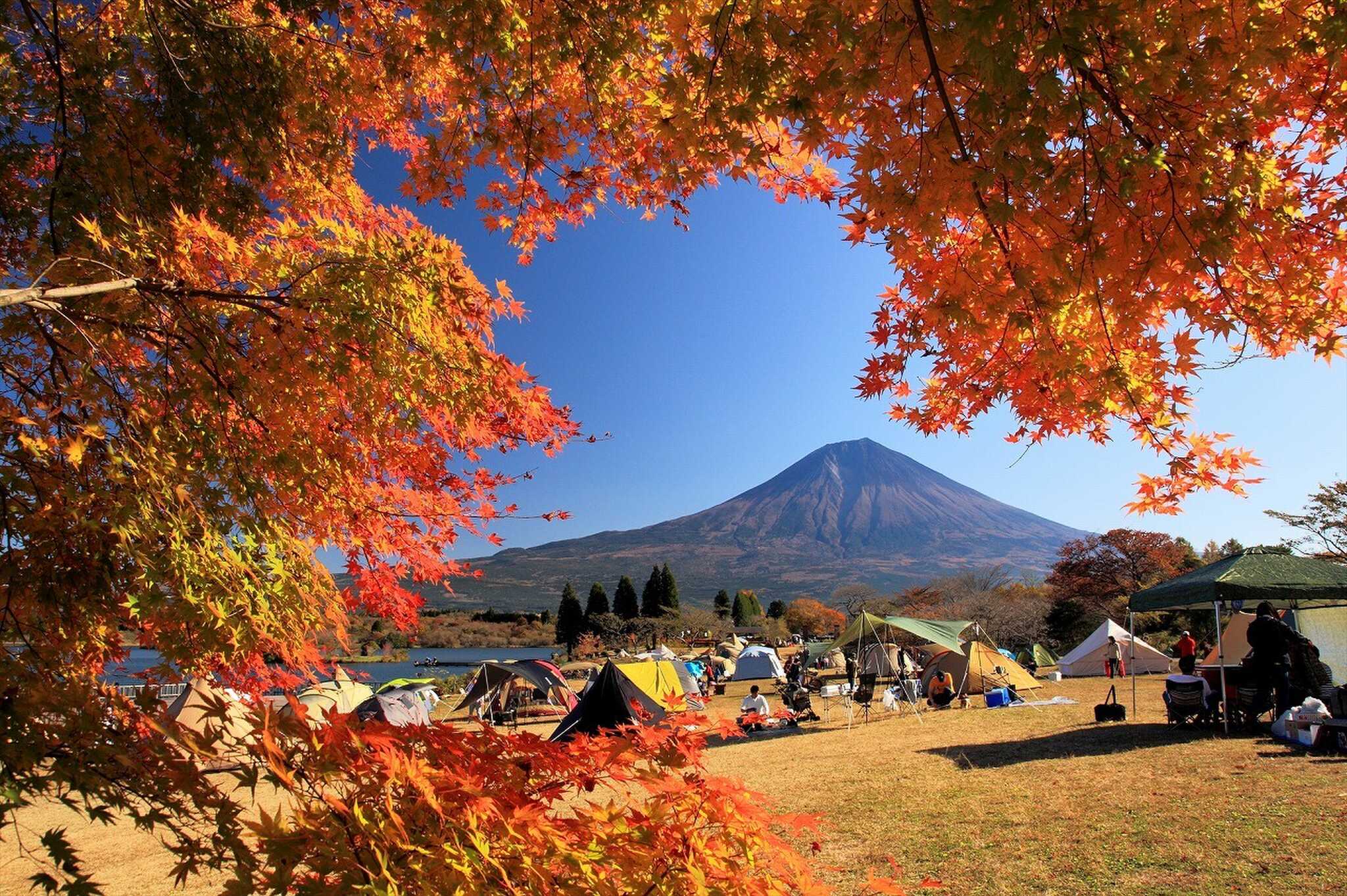 田貫湖キャンプ場の写真 4枚目