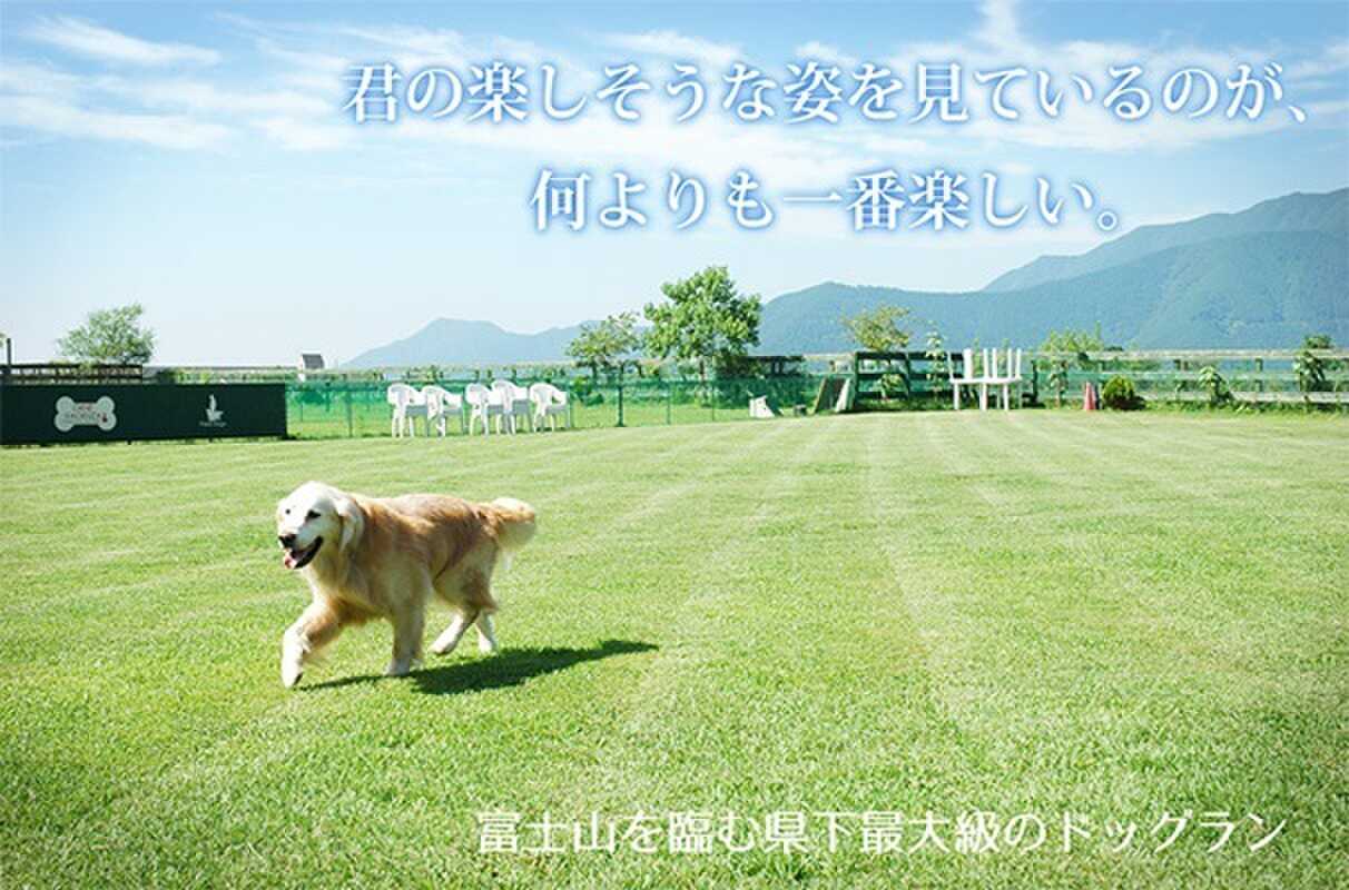 Field Dogs Gardenの写真 3枚目